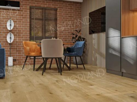  Ламинат Norland Elegant/Элегантный LF301-09 Дуб Хайнан