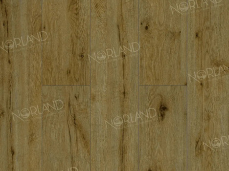  Ламинат Norland Elegant Strong/Элегантная Сила LF302-14 Дуб Скай