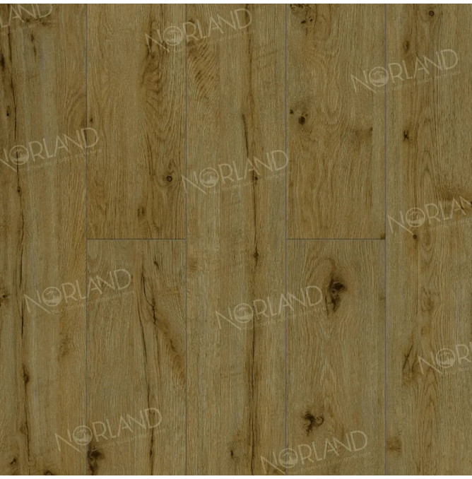 фото - Ламинат Norland Elegant Strong/Элегантная Сила LF302-14 Дуб Скай