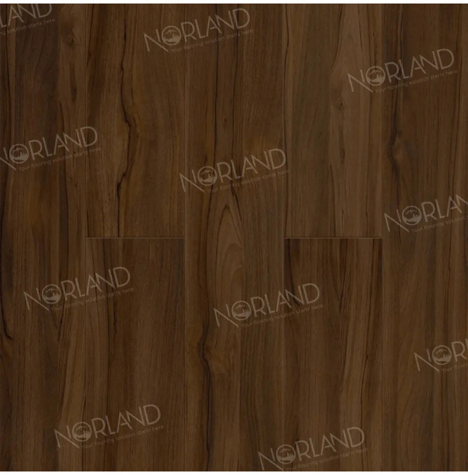 фото - Ламинат Norland Elegant Strong/Элегантная Сила LF302-21 Орех Инис