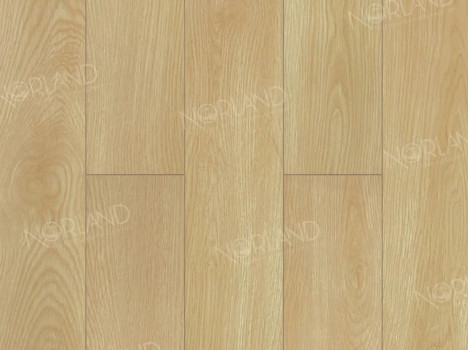  Ламинат Norland Elegant/Элегантный LF301-04 Дуб Тасмания