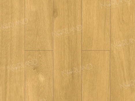  Ламинат Norland Elegant Strong/Элегантная Сила LF302-12 Дуб Мальта