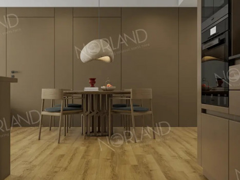  Ламинат Norland Elegant Strong/Элегантная Сила LF302-17 Дуб Фанэн