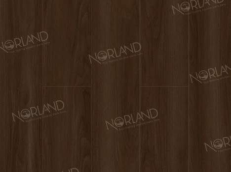  Ламинат Norland Elegant Strong/Элегантная Сила LF302-22 Дуб Треско