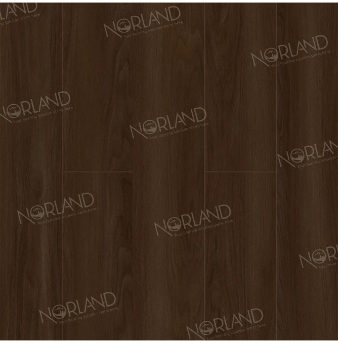 фото - Ламинат Norland Elegant Strong/Элегантная Сила LF302-22 Дуб Треско