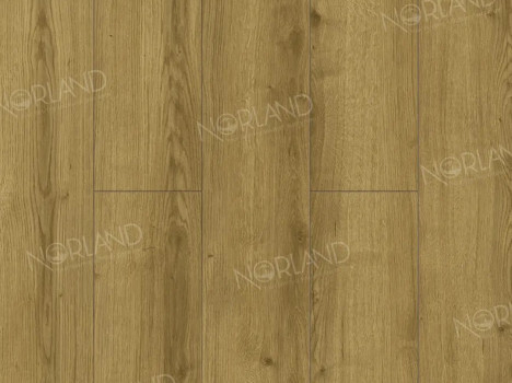  Ламинат Norland Elegant/Элегантный LF301-17 Дуб Фанэн