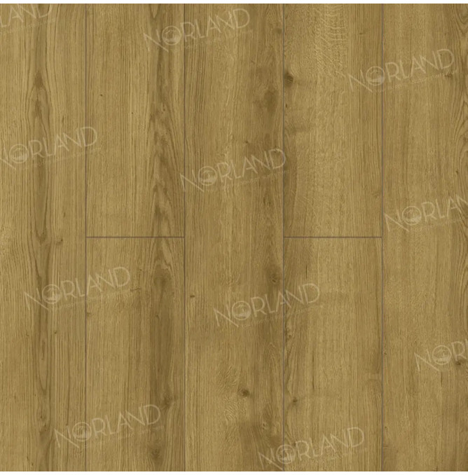 фото - Ламинат Norland Elegant/Элегантный LF301-17 Дуб Фанэн