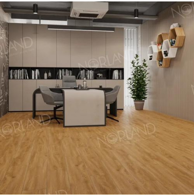 фото - Ламинат Norland Elegant/Элегантный LF301-10 Дуб Хонсю