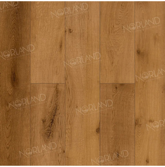 фото - Ламинат Norland Elegant/Элегантный LF301-13 Дуб Помона