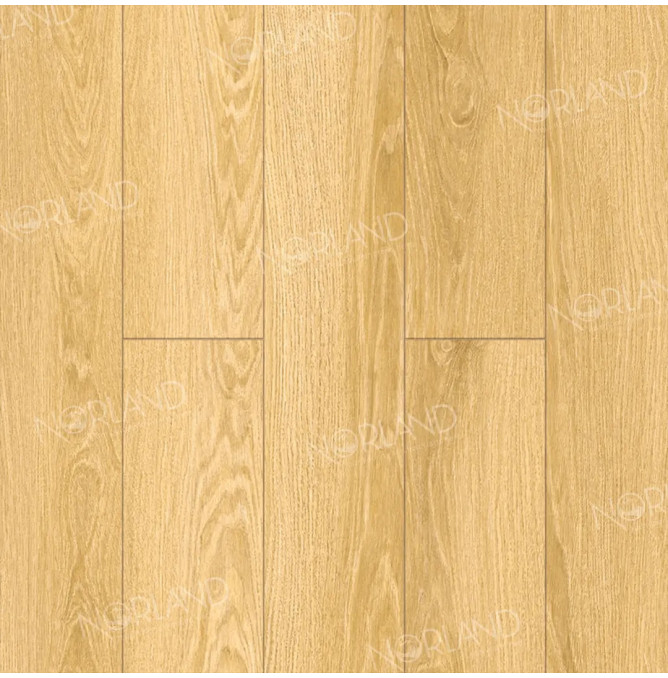 фото - Ламинат Norland Elegant/Элегантный LF301-07 Дуб Тавора