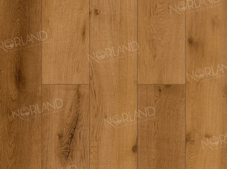  Ламинат Norland Elegant Strong/Элегантная Сила LF302-13 Дуб Помона