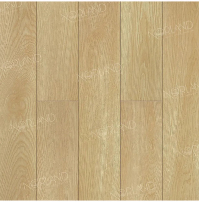 фото - Ламинат Norland Elegant Strong/Элегантная Сила LF302-04 Дуб Тасмания