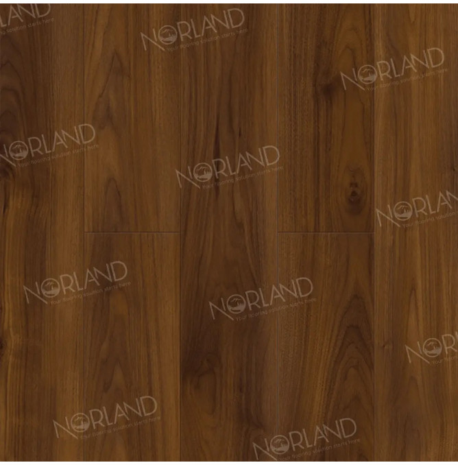 фото - Ламинат Norland Elegant/Элегантный LF301-19 Орех Кипр