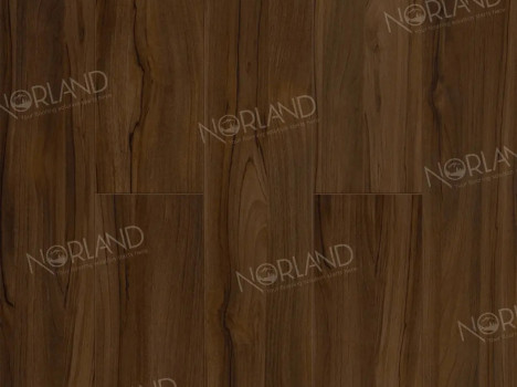  Ламинат Norland Elegant/Элегантный LF301-21 Орех Инис