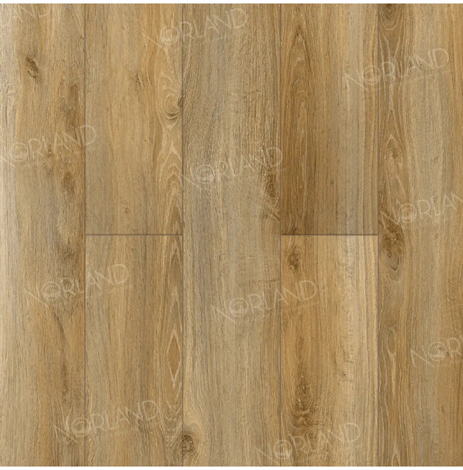 фото - Ламинат Norland Elegant Strong/Элегантная Сила LF302-11 Дуб Крете