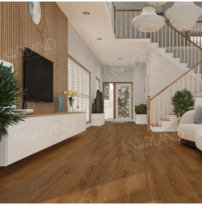 фото - Ламинат Norland Elegant/Элегантный LF301-20 Дуб Этна