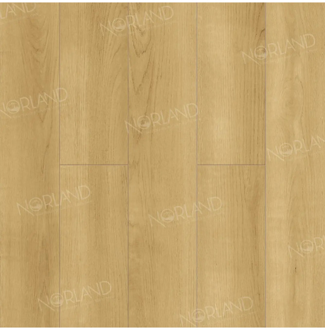 фото - Ламинат Norland Elegant/Элегантный LF301-06 Дуб Лузон