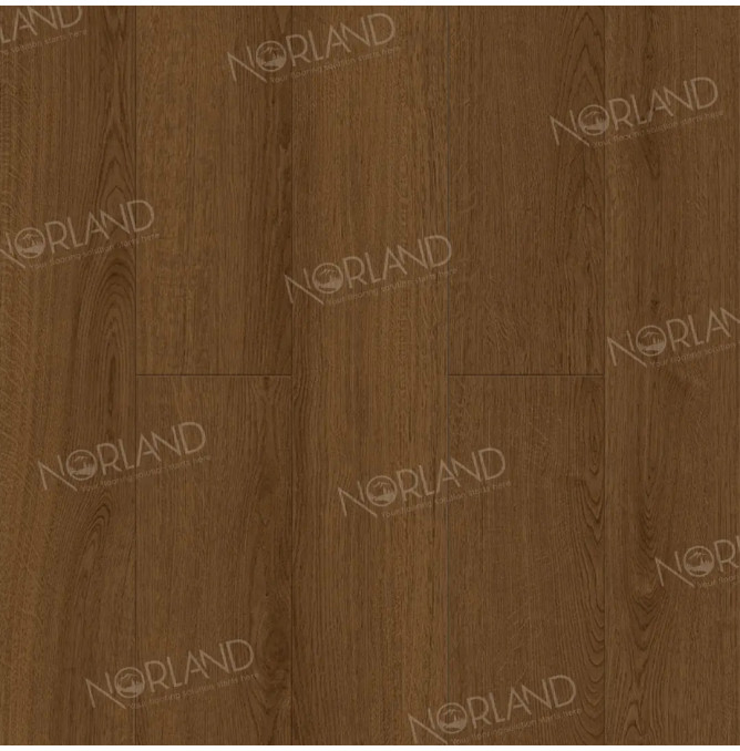 фото - Ламинат Norland Elegant/Элегантный LF301-20 Дуб Этна