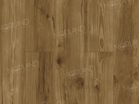  Ламинат Norland Elegant Strong/Элегантная Сила LF302-18 Дуб Корсика