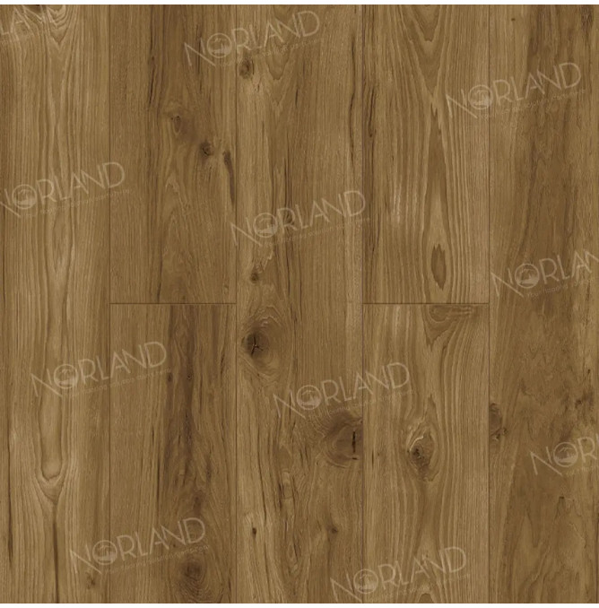 фото - Ламинат Norland Elegant Strong/Элегантная Сила LF302-18 Дуб Корсика