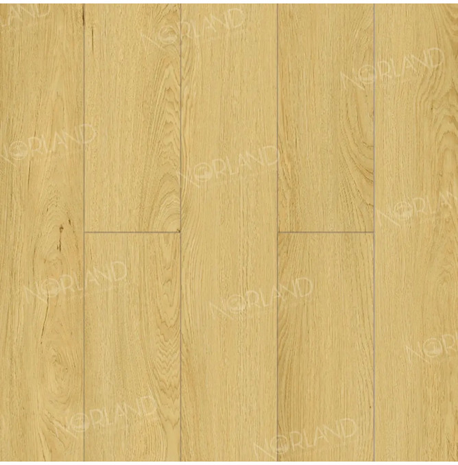 фото - Ламинат Norland Elegant/Элегантный LF301-08 Дуб Элмер