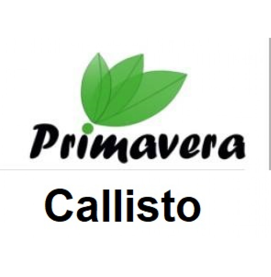 Callisto