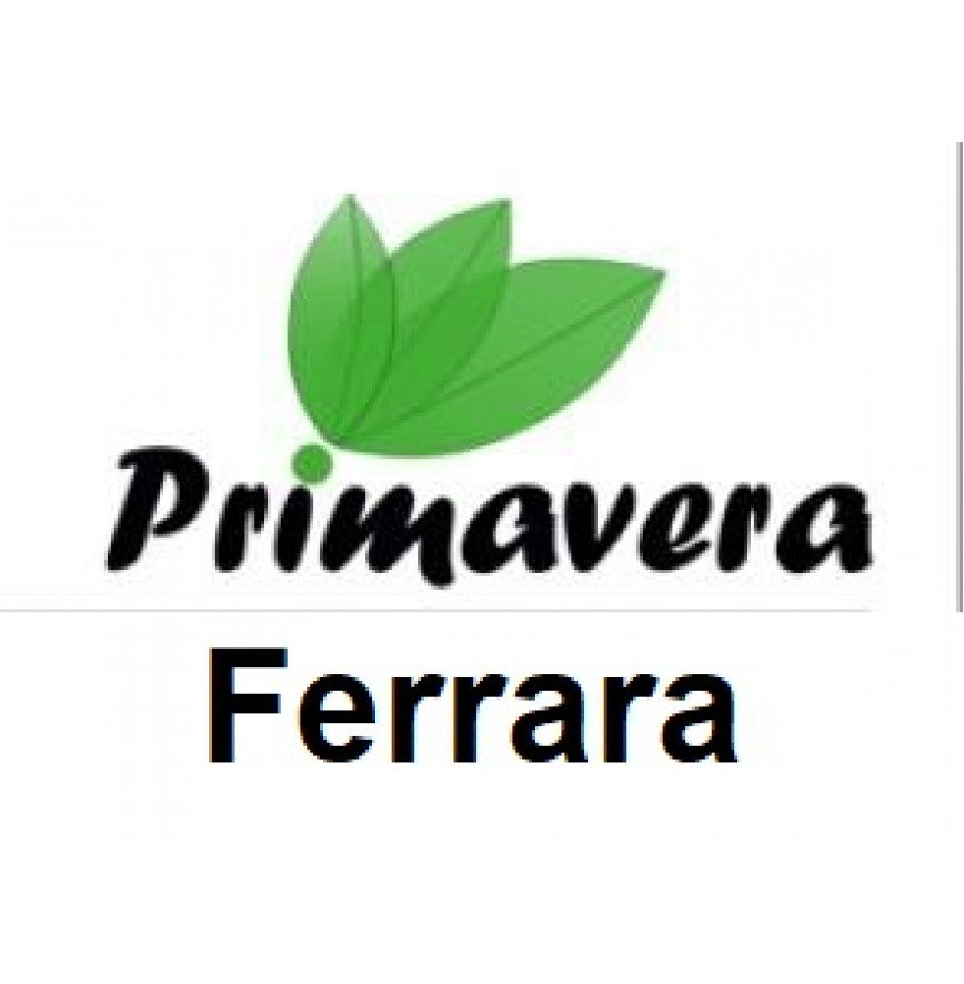 Ferrara